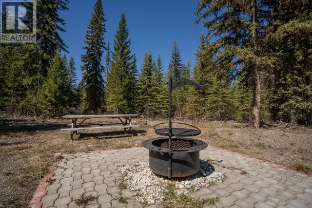 6301 ARCHIE MEADOW ROAD Forest Grove, British Columbia in Land for Sale in 100 Mile House - Image 8