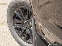 BlueCruise, Sunroof, Power Running Boards, HUD, B&O Audio, Cooled Seats, Remote Start, Adaptive Crui... (image 6)