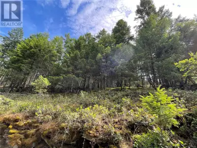 You've discovered the Best priced lot on Mudge Island. This undeveloped .78 acre is close to the nor...