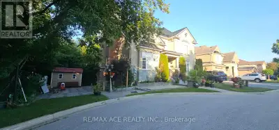 Spacious walkout 1+1 Bedroom Lower Suite W Separate Entrance Extra Large Open Concept Living And Din...