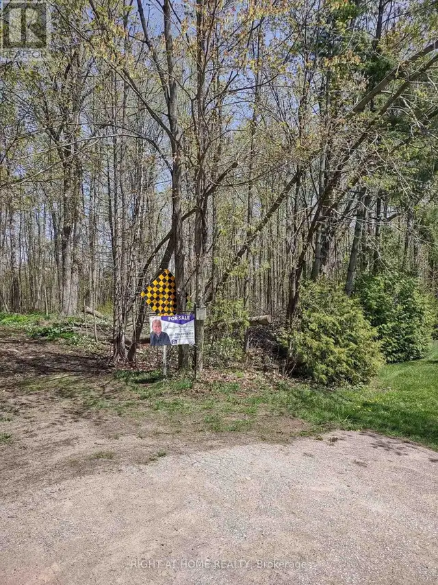 PTL 26 & PTL 27, CON 7, ORO Oro-Medonte, Ontario in Land for Sale in Barrie - Image 15