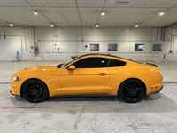 // ACCIDENT FREE!! // Turn every drive into an event in this used 2019 Ford Mustang EcoBoost Fastbac... (image 9)
