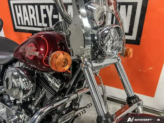 2000 Harley-Davidson FXDWG DYNA WIDE GLIDE in Street, Cruisers & Choppers in Calgary - Image 19