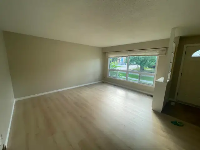 Professional & Reliable Painter598688517147207687