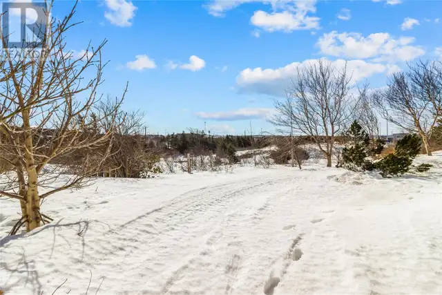 1611 Topsail Road Paradise, Newfoundland & Labrador in Houses for Sale in St. John's - Image 31