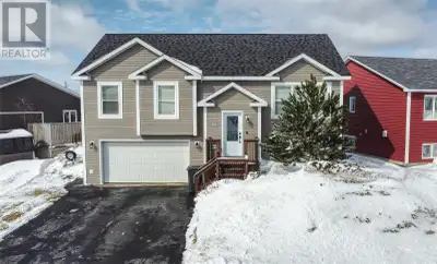 Is there a 4-bed family home in Mount Pearl under $500K that is fully developed and close to shoppin...