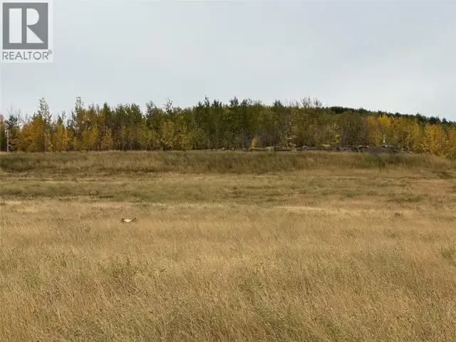 206 Road Lot# 3 Dawson Creek, British Columbia in Land for Sale in Dawson Creek - Image 12
