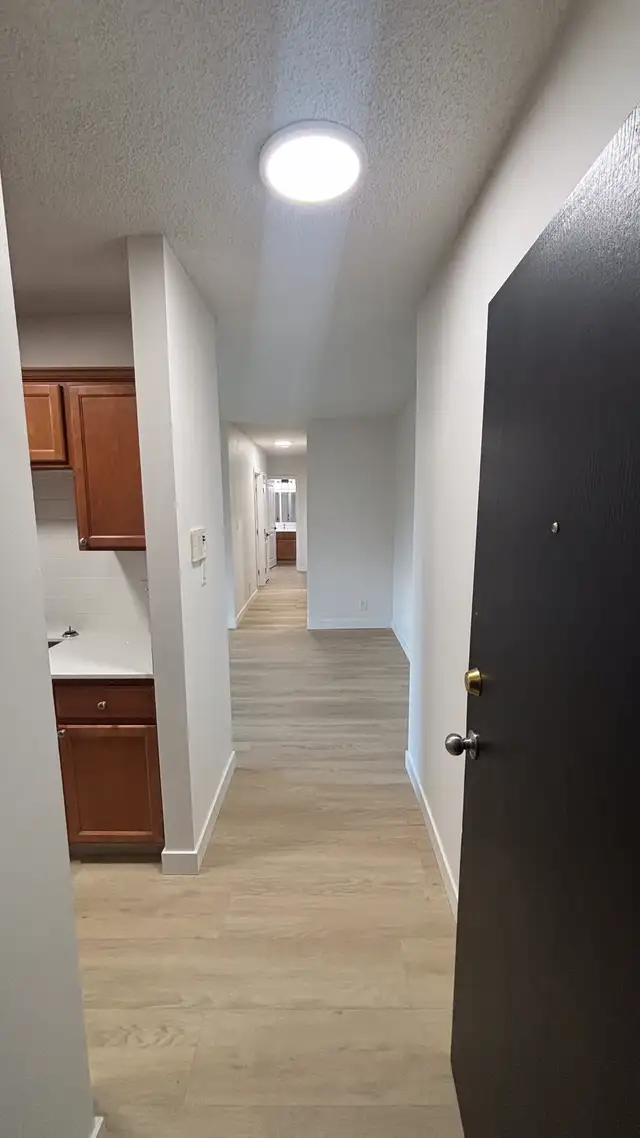 Studio Owl at The Mews – Carlton - First Month Rent Free!63849107837057121