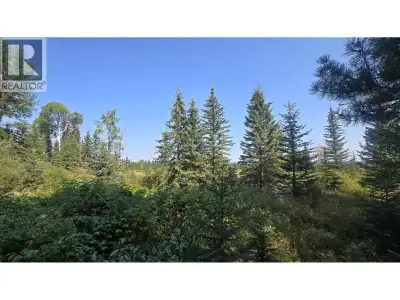 This unique 40-acre parcel features a diverse landscape of trees, open meadowland, and a natural pon...