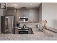 375 Raven Ridge Road Unit# 104B Big White, British Columbia