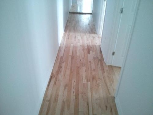 Chambre tout inclus (600$)  Métro Monk – Colocation étudiante — photo 1