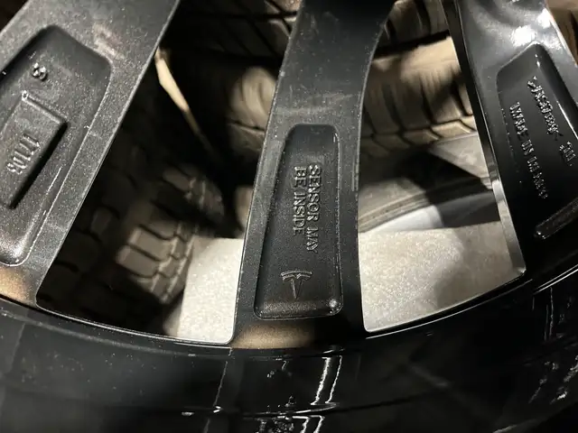 OEM Tesla3 20" package in Tires & Rims in City of Toronto - Image 3
