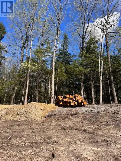 10 Acres of Untouched North - Ready to Build. An extraordinary opportunity: 10 acres of pure, natura...