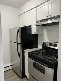 21 Stirling Avenue South Kitchener / Waterloo Kitchener Area Preview