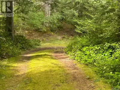 Situated on over 10 flat, usable acres backing onto the world-renowned East Sooke Provincial Park, t...