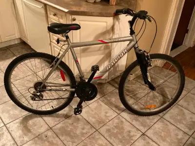 Vélo 26 pouce Raleigh  pour grand  ado et homme 5p6 à 5p9, View more