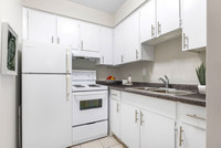 Now Leasing! Bright Newly Renovated Bachelor Suites Await You!