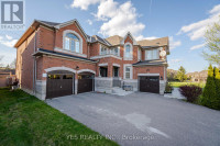 20 JANETVILLE ST Brampton, Ontario