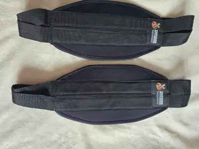 DMOOSE FITNESS straps for hanging core work, View more