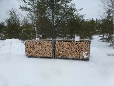 FIREWOOD ( DRY  BIRCH ) (5-Cords Maple, View more