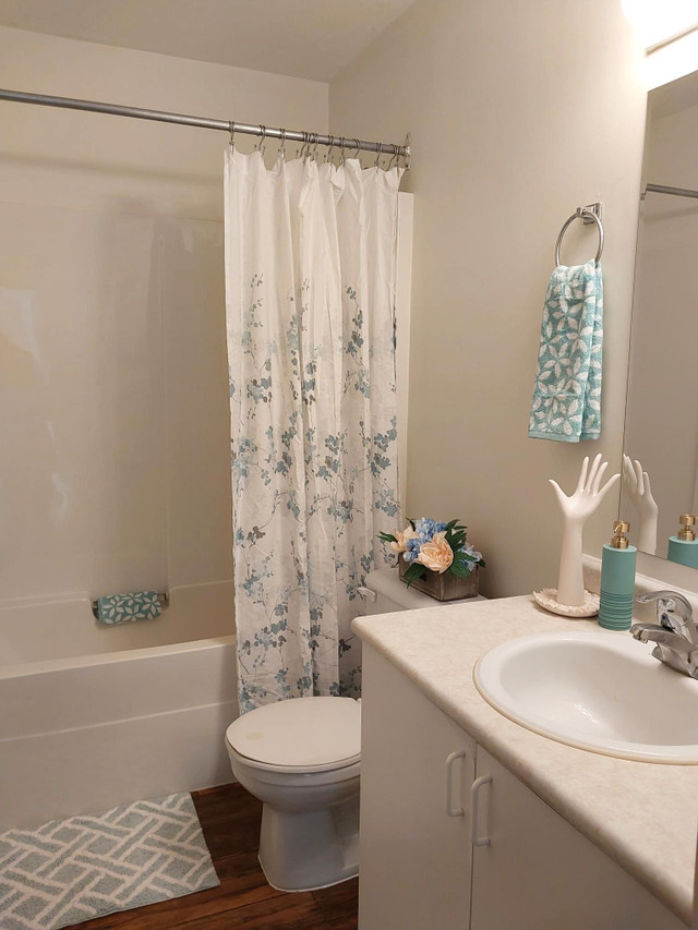2 BED x 1 BATH Apartment Coming Up in Long Term Rentals in Grande Prairie - Image 2
