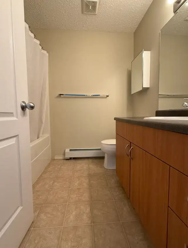 230 Wilson 2 Bed 2 Bath Condos Underground Parking in Long Term Rentals in Fort McMurray - Image 17