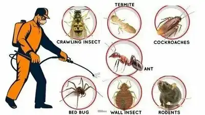 Pest Control , Racoon , Mice , Roaches , Ants  6478004772, View more