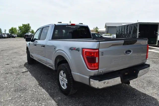 2023 Ford F-150 XLT - 6.5' BOX - 5.0L in Cars & Trucks in Winnipeg - Image 6