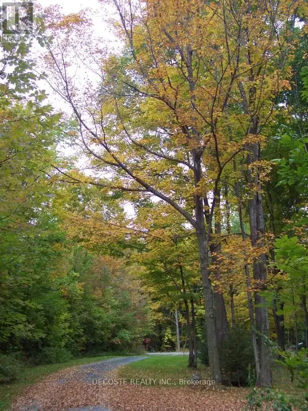 0000 COUNTY 43 ROAD North Glengarry, Ontario in Land for Sale in Ottawa - Image 6