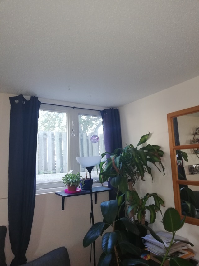 1137 Merivale Road Unit 2 , Nepean 1 bedroom Apartment for Ren Long
