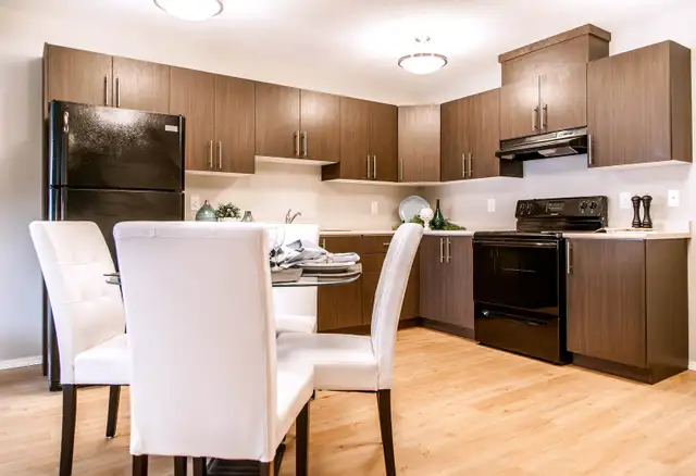 Pet-Friendly One Bedroom One Bath with In-suite Laundry for Rent in Long Term Rentals in Edmonton - Image 8