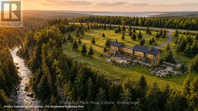 Twenty spectacular acres where the Mad River winds through mature escarpment forest beneath dramatic...