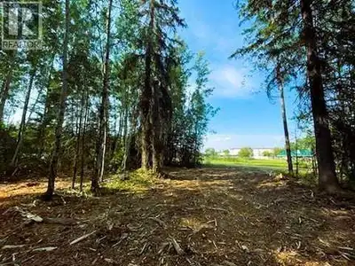 Private, treed lot located in the Hamlet of Sandy Lake, Alberta. just over 2 acres.... great locatio...