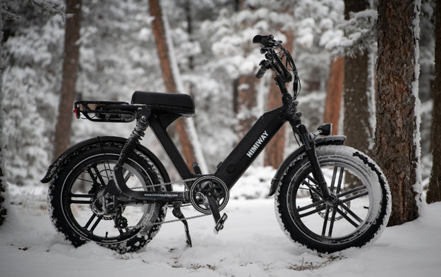 Fat Tire Step Thru Cargo Ebike 80km Range Two Years Of Warranty in eBike in London