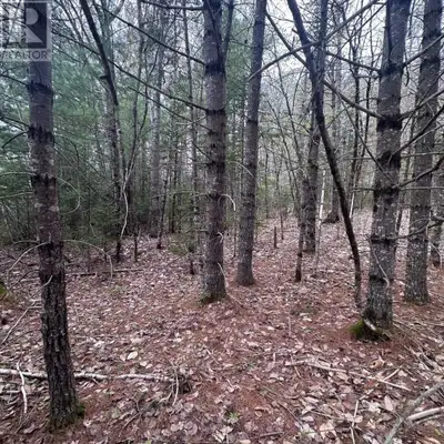 Looking for a larger parcel of land close to several lakes? This 9 acre property could be for you! P...