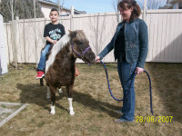 BACKYARD KIDS PONY PARTIES