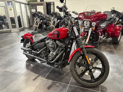 Oppotunity doesn't knock it RUMBLES!!! Looking for a Have you always wanted a Harley? PLUS HST&LICEN...