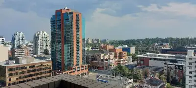 Room for rent in Downtown