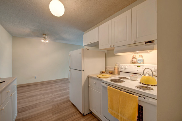 Pet-friendly Bright 2 Bedroom Apartment! in Long Term Rentals in Edmonton