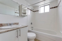 1 Bed, 1 Bath, Newly Renovated Kitchen with Stainless Steel Appliances with Amazing Amenities, Spect... (image 5)