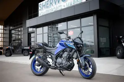 Engine Type: In-Line Displacement: 19.6 cu. in. (321 cc) Bore and Stroke: Bore: 2.68 in. (68 mm); St...