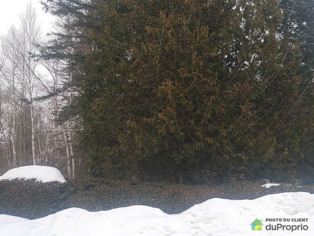 $516,000 - Price taxes included - Commercial Lot in St-Hippolyte — photo 1