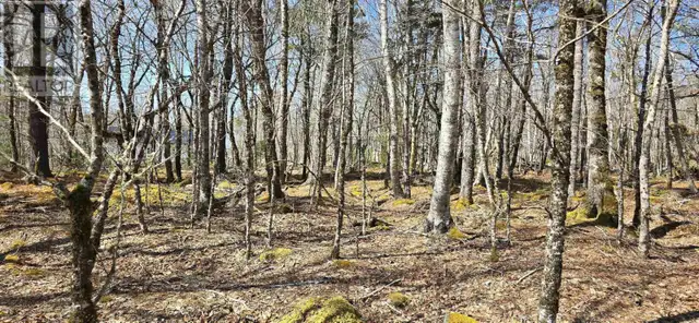 69 Sparkling Spring Lane Labelle, Nova Scotia in Land for Sale in Bridgewater - Image 13