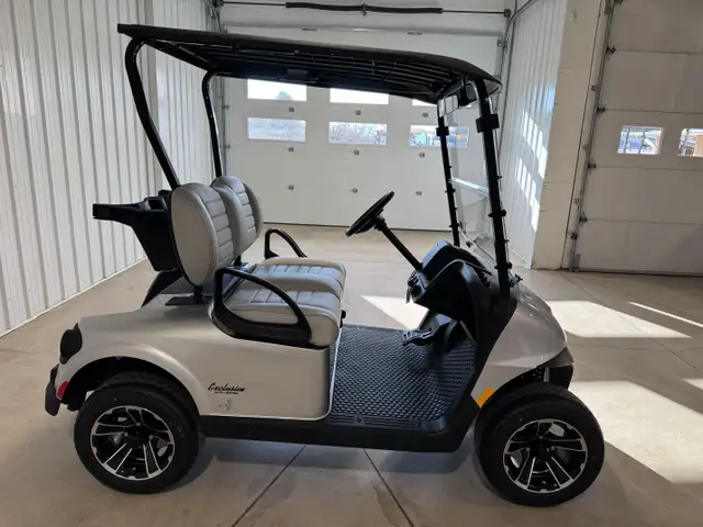 2026 EZGO RXV2 Freedom Platinum in ATVs in Vernon - Image 11