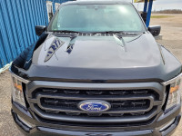 Factory F-150 hood for sale