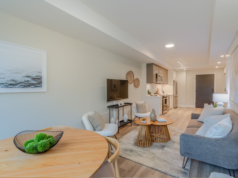 Junior Two bedroom Apartment for Rent - 41 Johnson Street 2