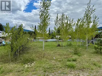 New Listing! Very affordable lot for sale in Blue River BC. If you are looking to get away from the...
