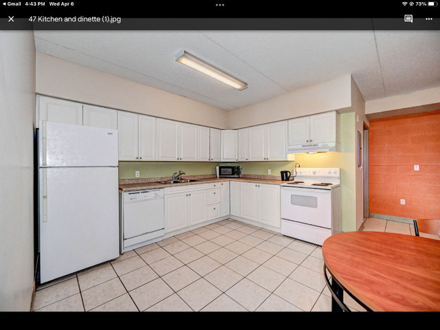 Room for rent for students or young professionals in Short Term Rentals in Kitchener / Waterloo - Image 3