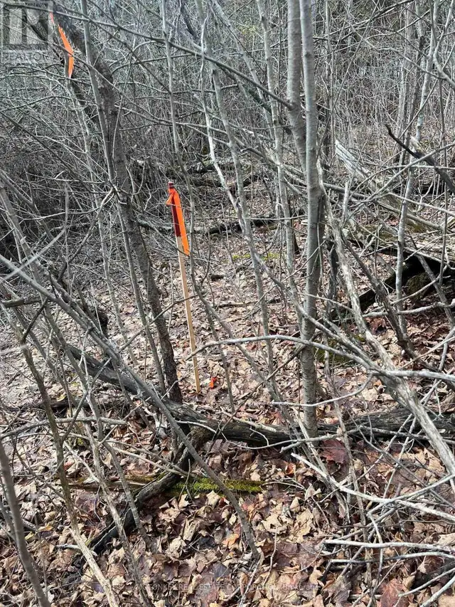 00 N. DUMMER 7TH LINE ROAD Douro-Dummer, Ontario in Land for Sale in Peterborough - Image 15