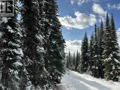 Have you always dreamed of building your own ski cabin? Here’s your chance! This 0.27-acre leasehold...